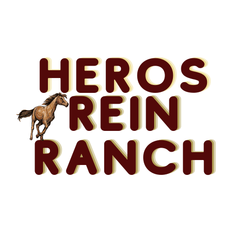 Heroes Rein Healing Horsemanship